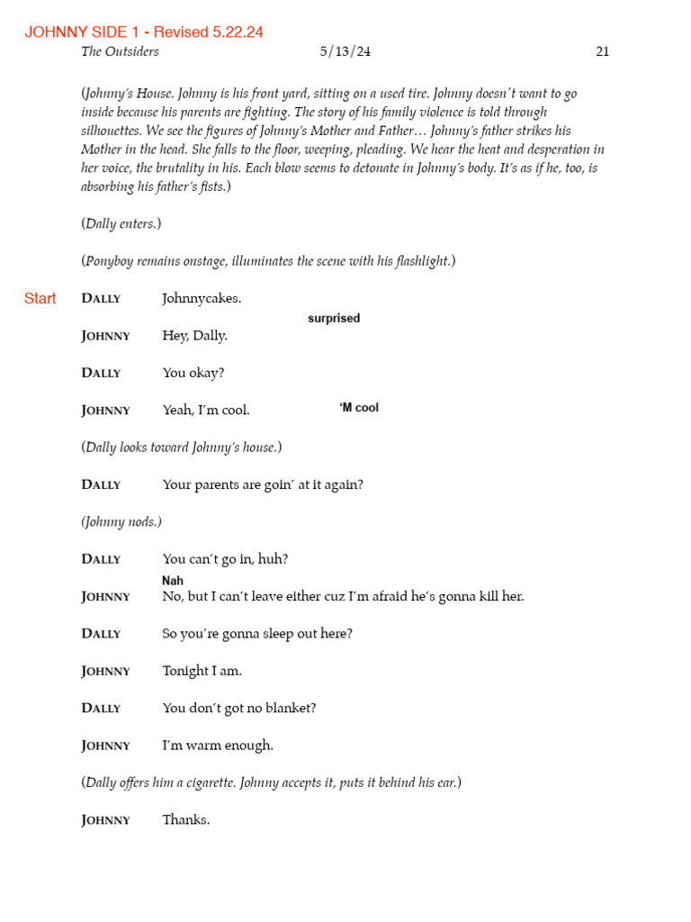 Johnny's Struggles and Dally's Support | PDF