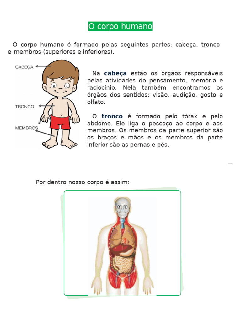 Estrutura e Funções do Corpo Humano | PDF | Corpo humano | Esqueleto