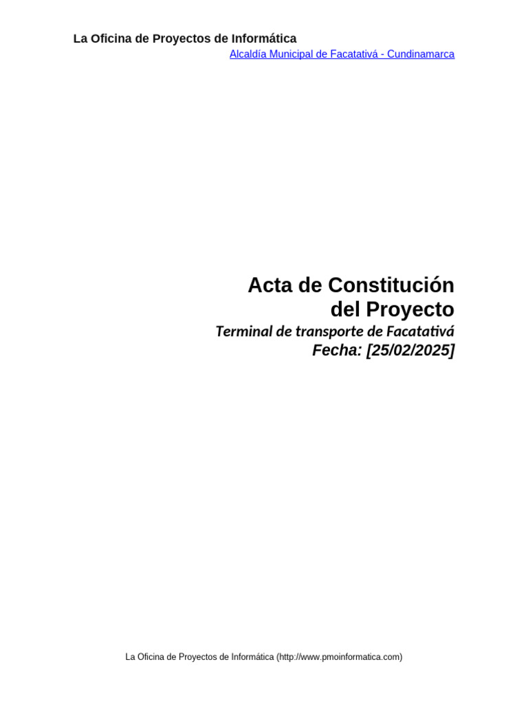 PMOInformatica Plantilla Acta de Constitución del Proyecto | PDF ...