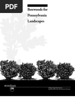 Download Boxwoods by Kirks Lawn Care SN83586431 doc pdf