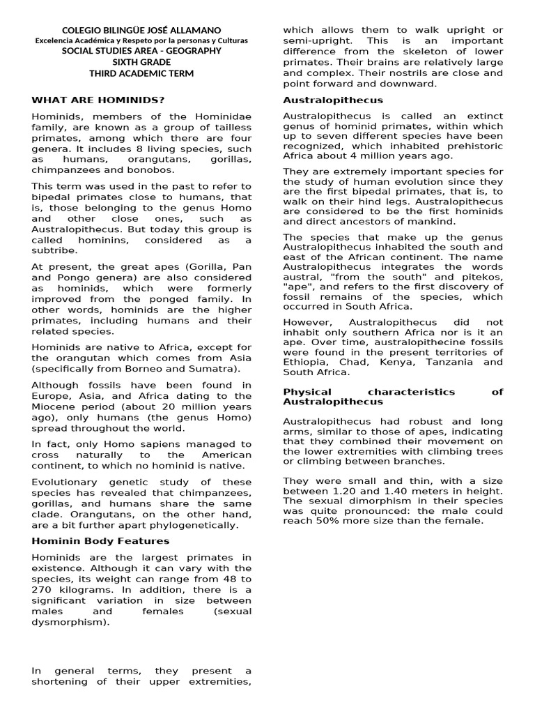 Understanding Hominids and Their Evolution | PDF | Hominidae | Human ...