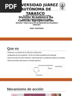 Vizerul: Indicaciones y Dosis Pediátrica | PDF | Especialidades Medicas ...