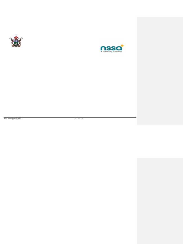 NSSA Strategic Plan 2021-2025 Overview | PDF | Employment | Governance