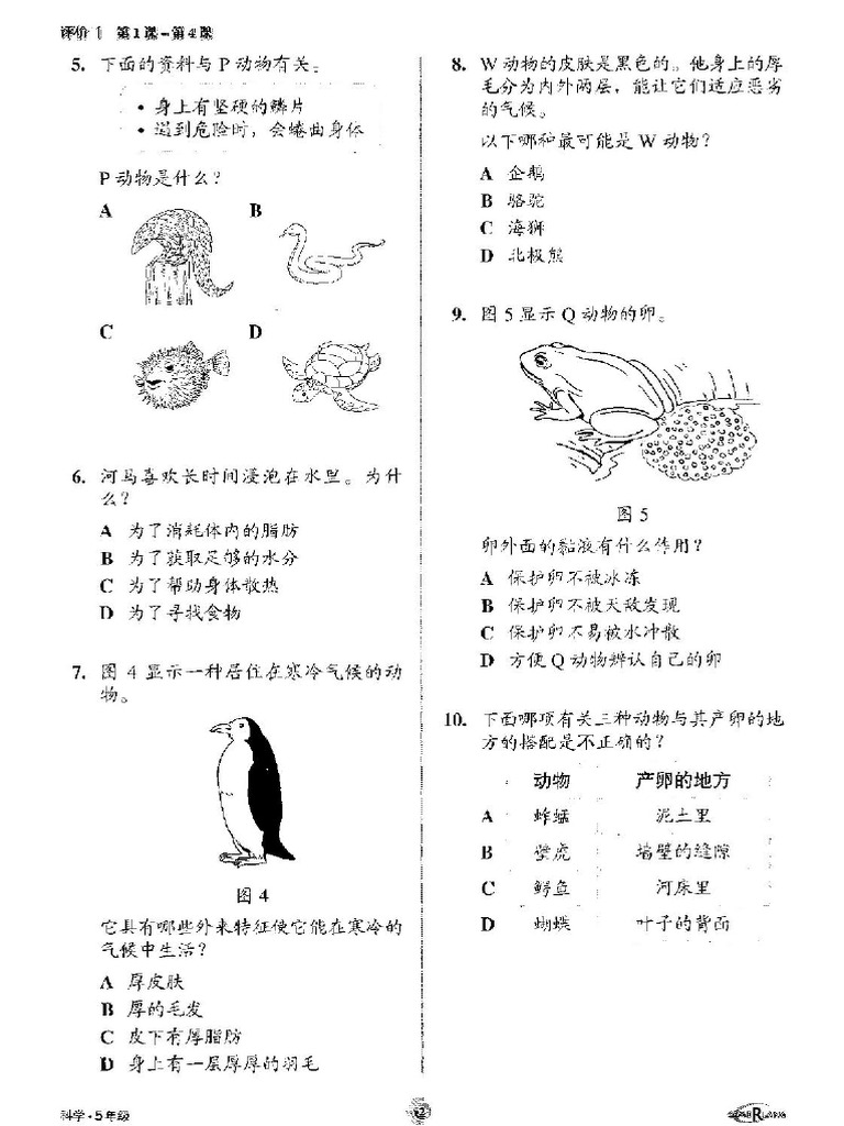 PG 2 | PDF