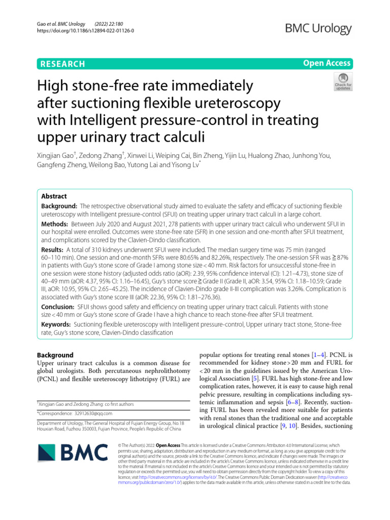 High Stone-Free Rate with SFUI Technique | PDF | Urology | Medical ...