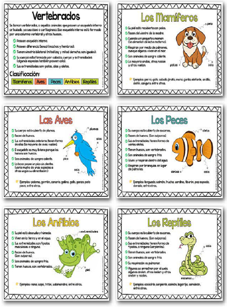Aniversario Cívico de Santa Cruz 2023 | PDF | Bolivia | América del Sur