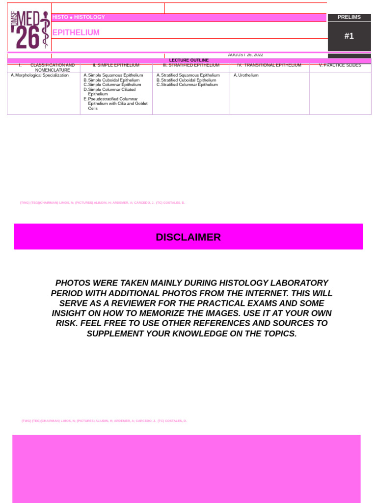 Histo Prelims Lab Epithelium Pdf Epithelium Small Intestine