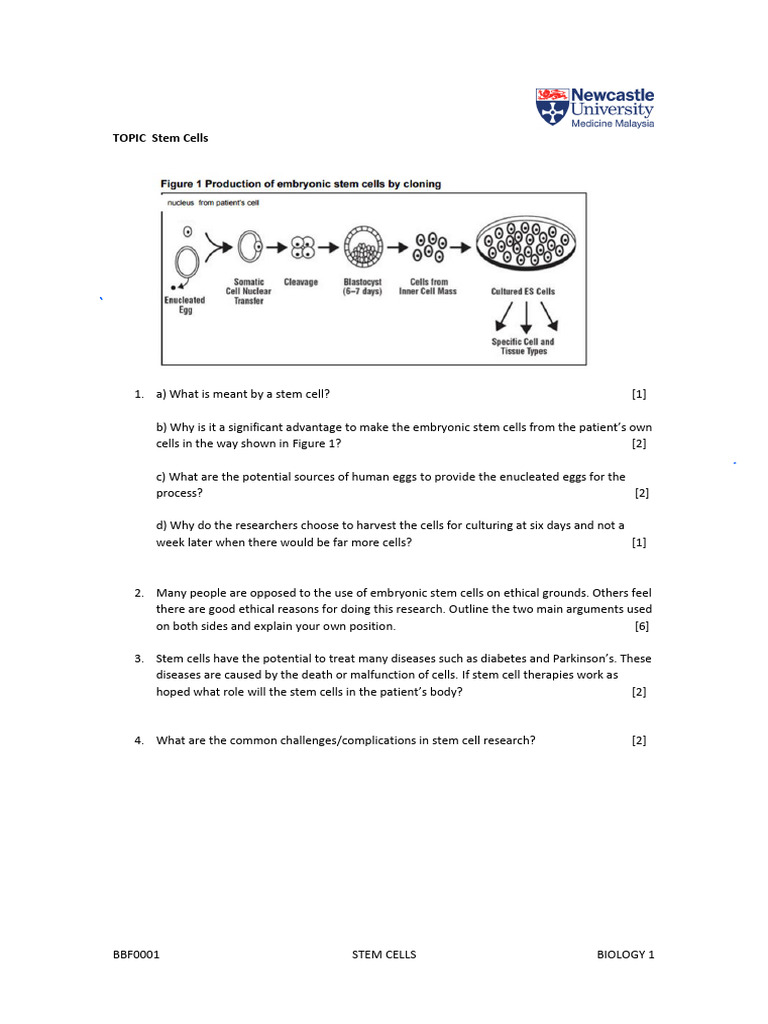 Screenshot 2024-03-28 at 10.02.32 AM | PDF | Gene Therapy | Stem Cell