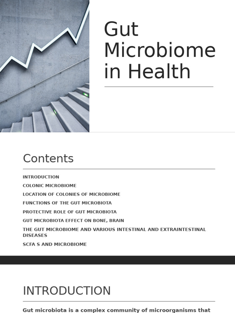 Gut Microbiome: Health Impacts & Functions | PDF | Toll Like Receptor ...
