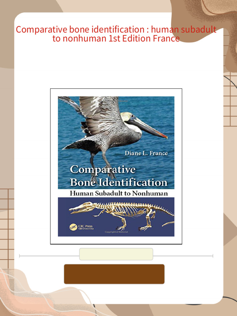 Comparative Bone Identification: Human Subadult To Nonhuman 1st Edition ...