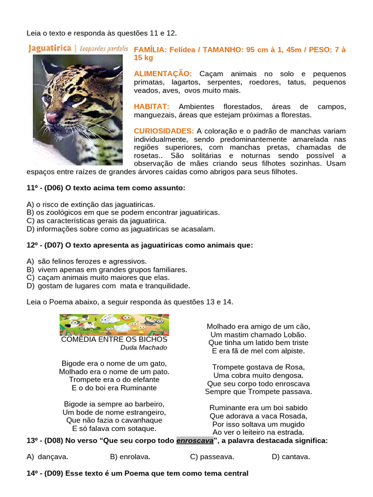 Leia o Texto Abaixo e Responda Às Questões 01 e 02 | PDF | Gatos