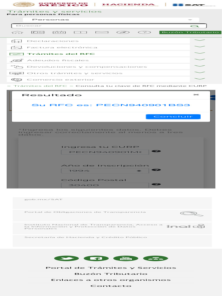PORTAL DE TR MITES Y SERVICIOS DEL SAT visual data 8