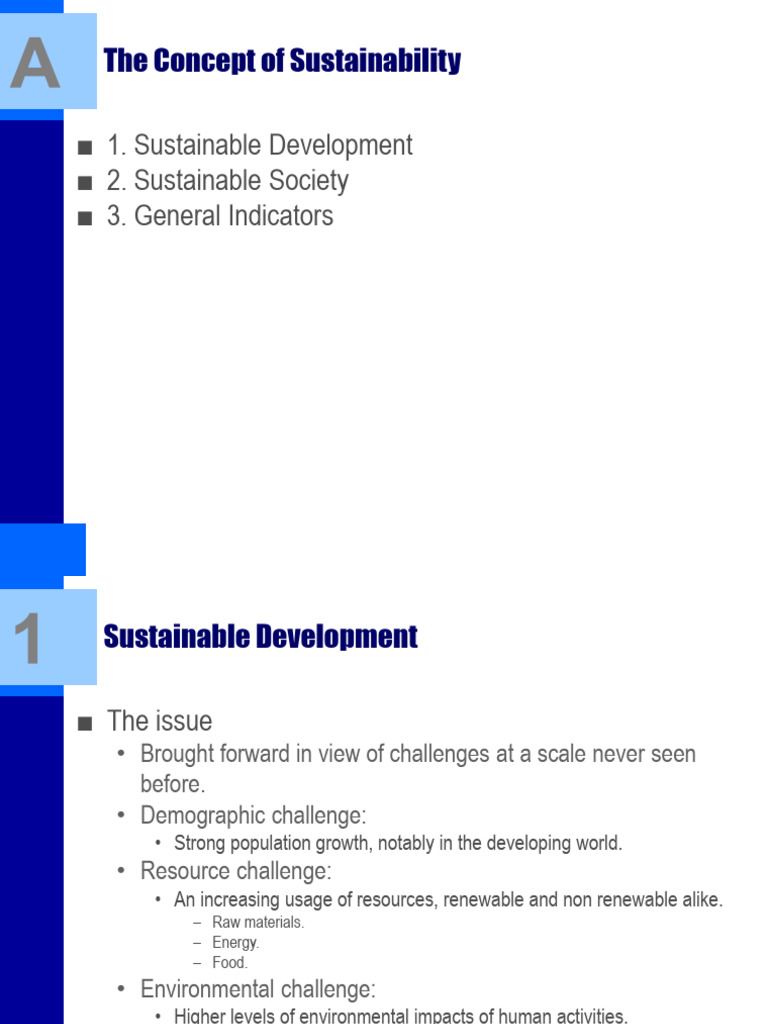 Understanding Sustainability Concepts | PDF | Sustainability ...