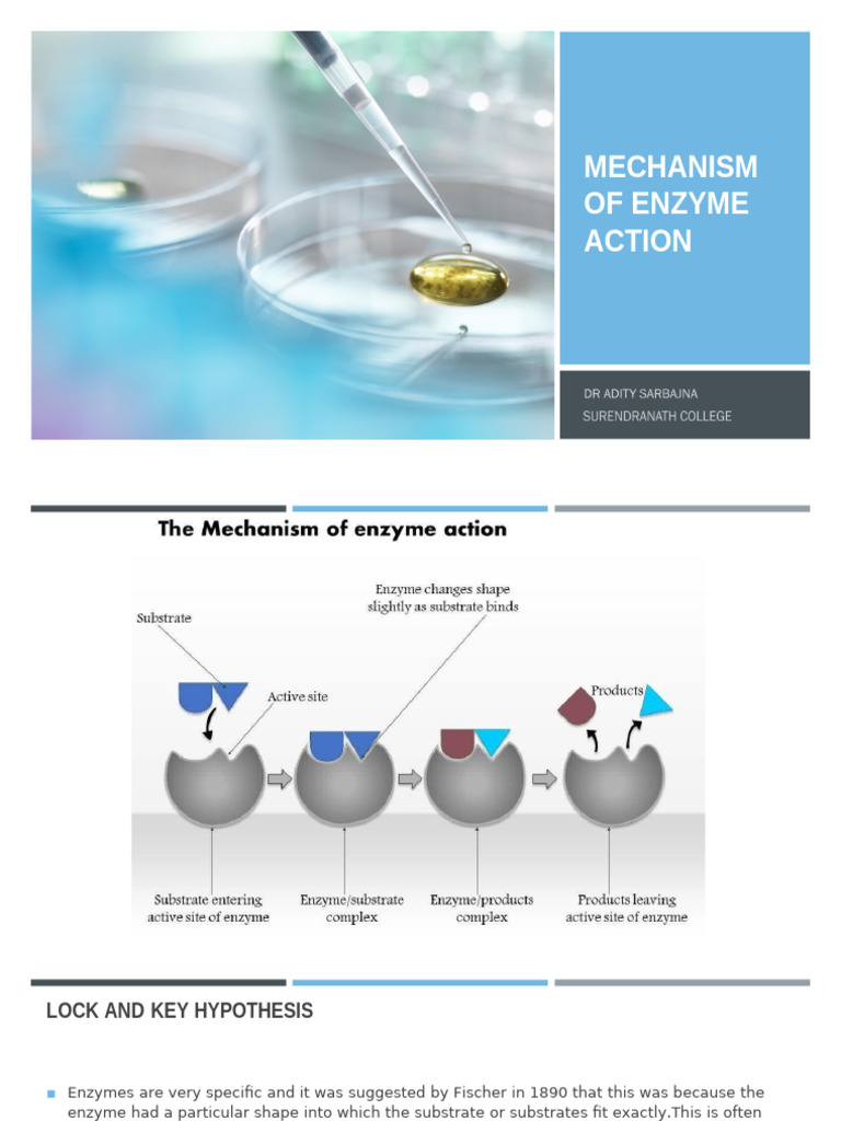 D 12 180 62021CC7CF8FF | PDF | Enzyme | Active Site