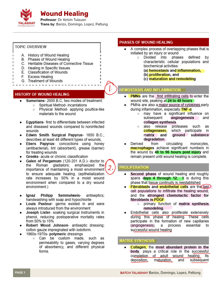 Comprehensive Guide to Wound Healing | PDF | Wound Healing | Wound