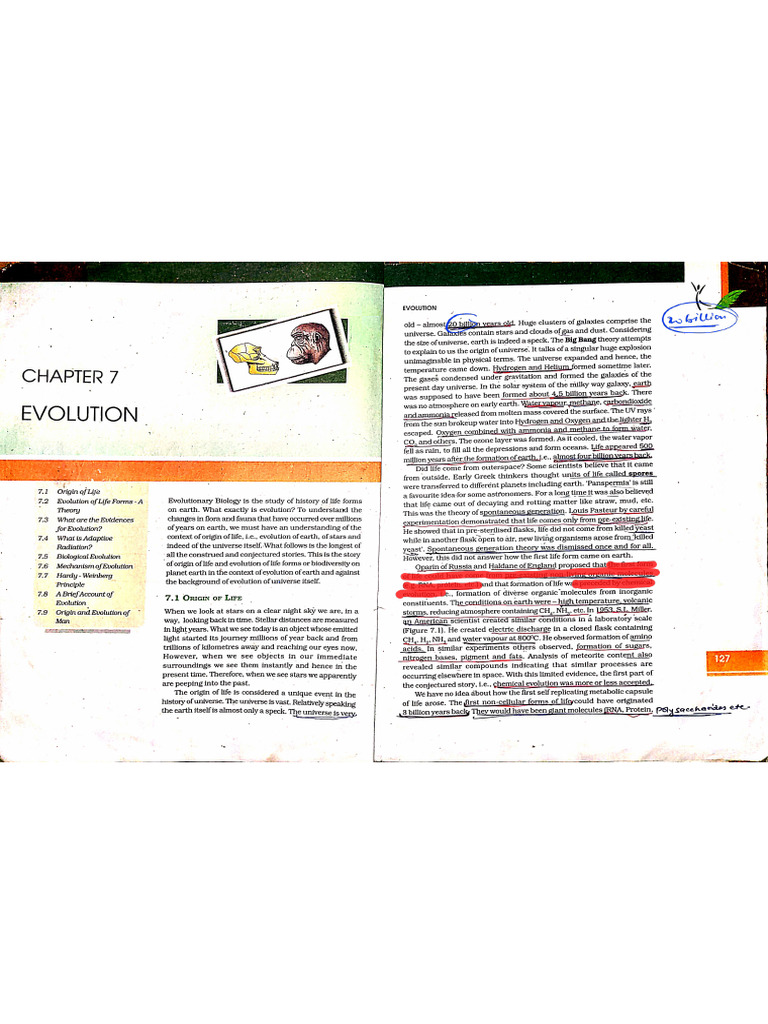 EVOLUTION | PDF