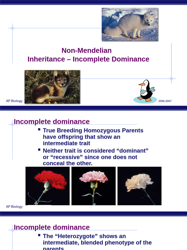 Non-Mendelian Inheritance Explained | PDF | Dominance (Genetics) | Genetics