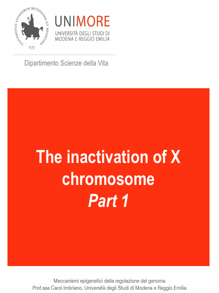 Epigenetic Mechanisms of X Inactivation | PDF | Epigenetics | Histone
