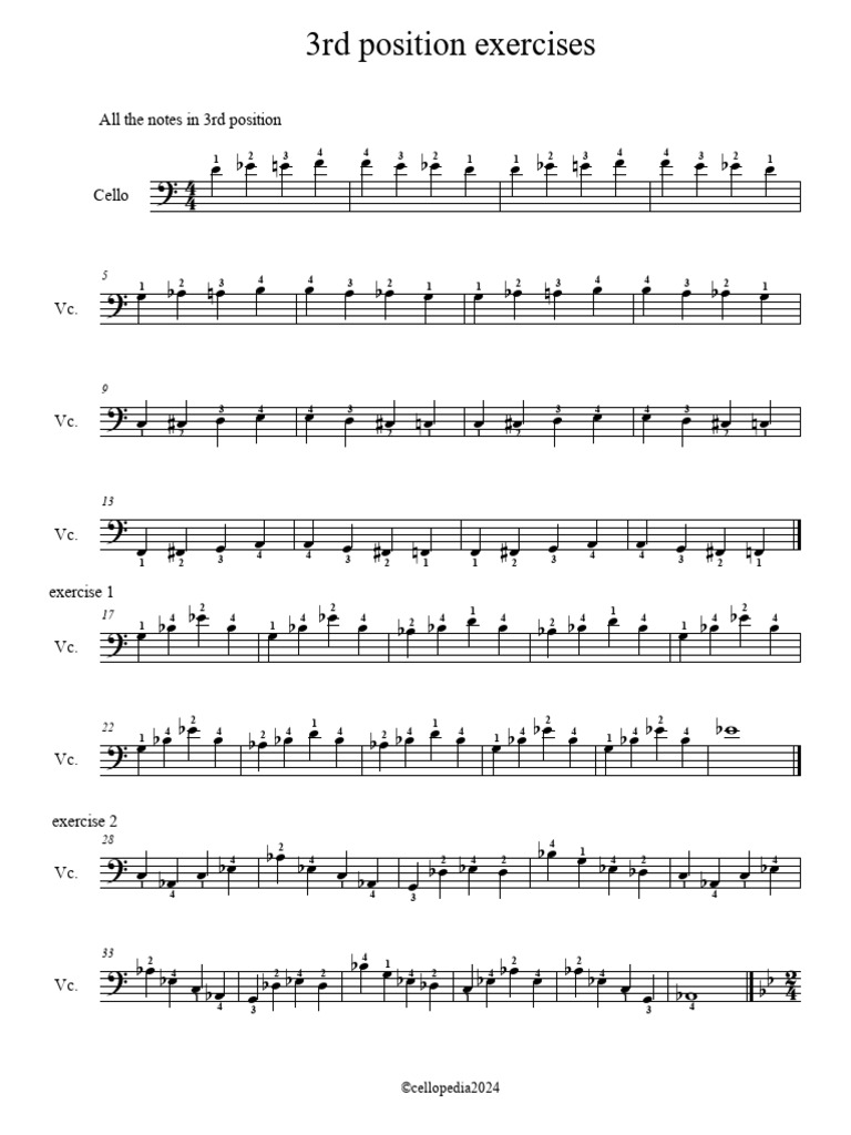 3rd Position Exercises | PDF