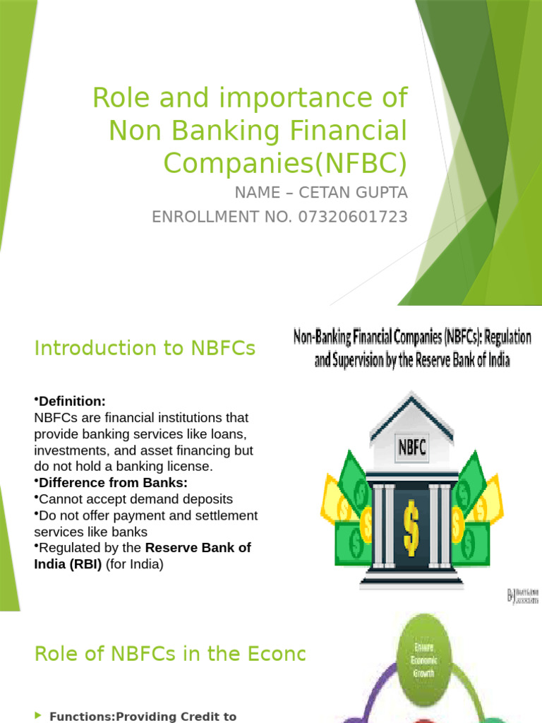 Role and Importance of Non Banking Financial Companies (NFBC) | PDF