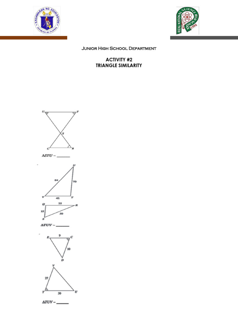Triangle Similarity Activity Worksheet | PDF