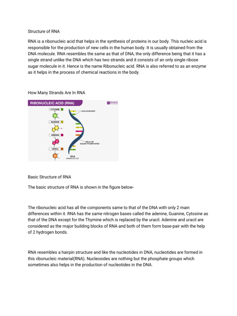 Structure of RNA-WPS Office | PDF