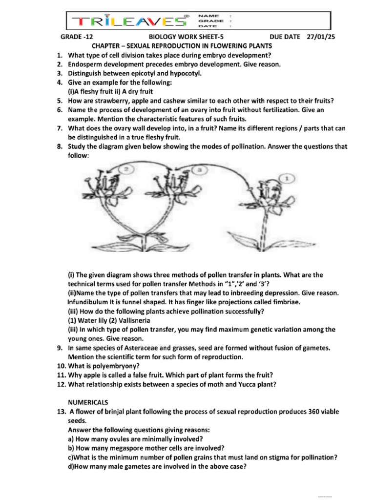 TGS 12 Biology Work Sheet - 5 | PDF