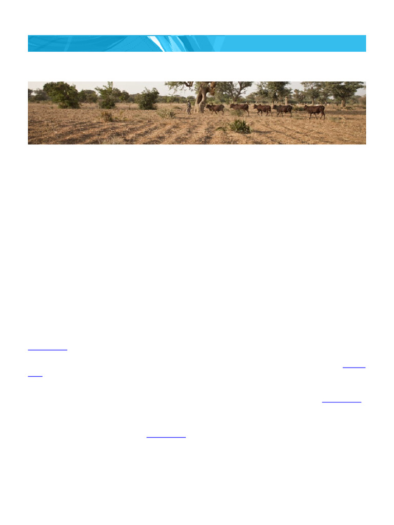 gestion durable des sols et des terres | PDF | Soil | Carbon Sequestration