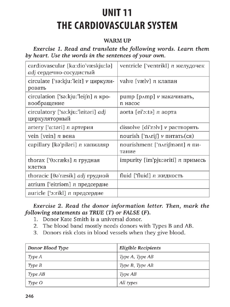 File 1 Cardiovascular System | PDF