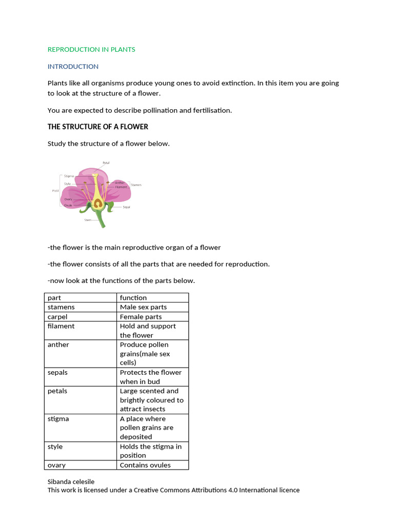 Biology - F 1 Reproduction in Plants-Insect Pollinated Flower | PDF