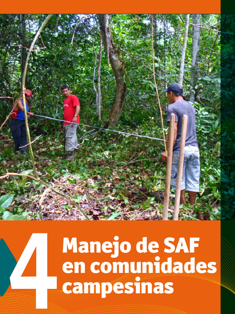 Manejo de Sistemas Agroforestales en Comunidades | PDF | Injerto ...