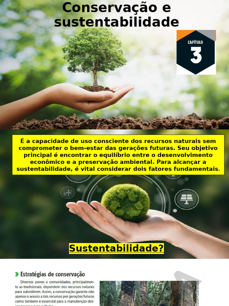 Conservação e Sustentabilidade no Brasil | PDF | Sustentabilidade ...