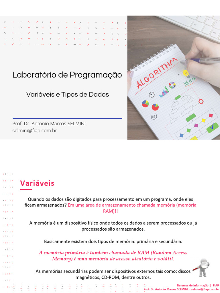 Variáveis e Tipos de Dados em Programação | PDF | Armazenamento de ...