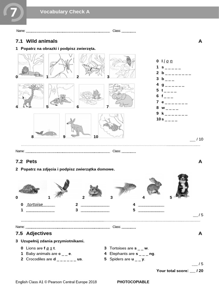 ECA1 - Tests - Vocabulary Check 7A - New2018 | PDF