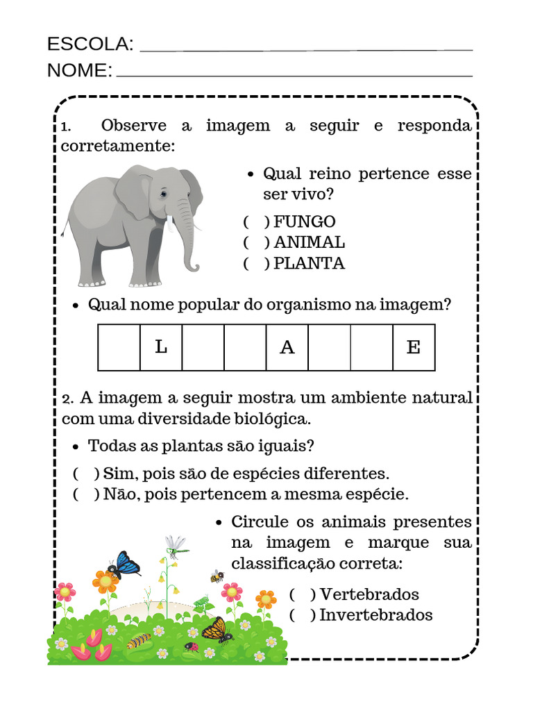 Atividade Adaptada: Classificação dos Seres Vivos | PDF