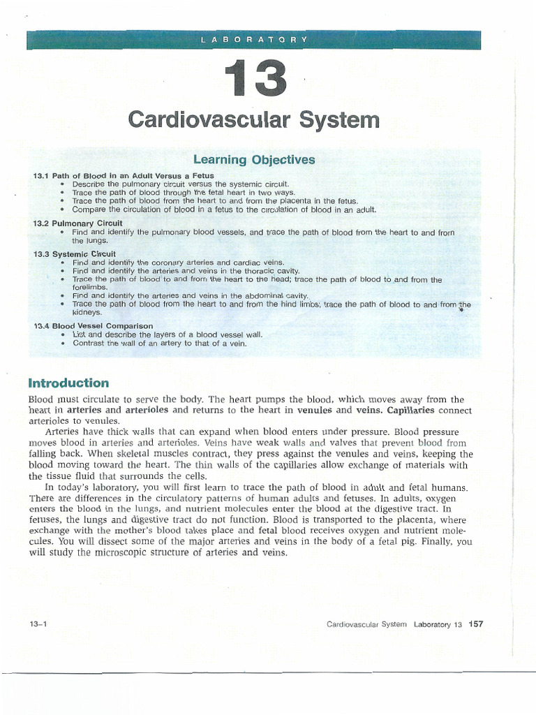 Week 5 Lab - 20210916204005 | PDF
