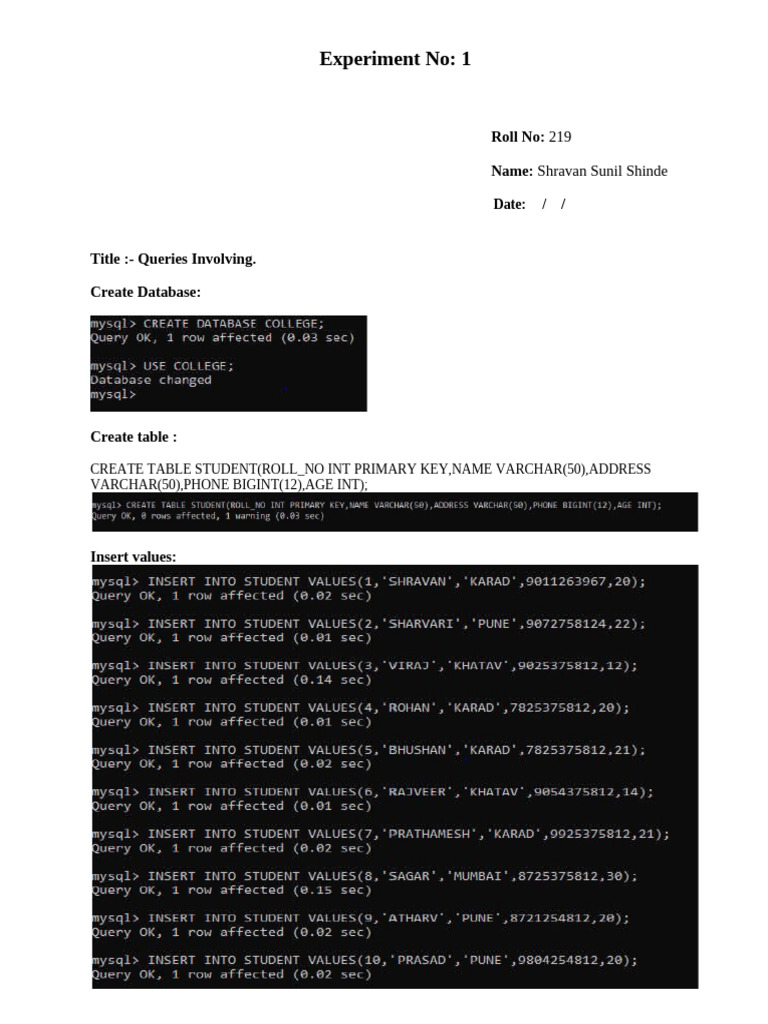 SQL Queries and Functions Guide | PDF
