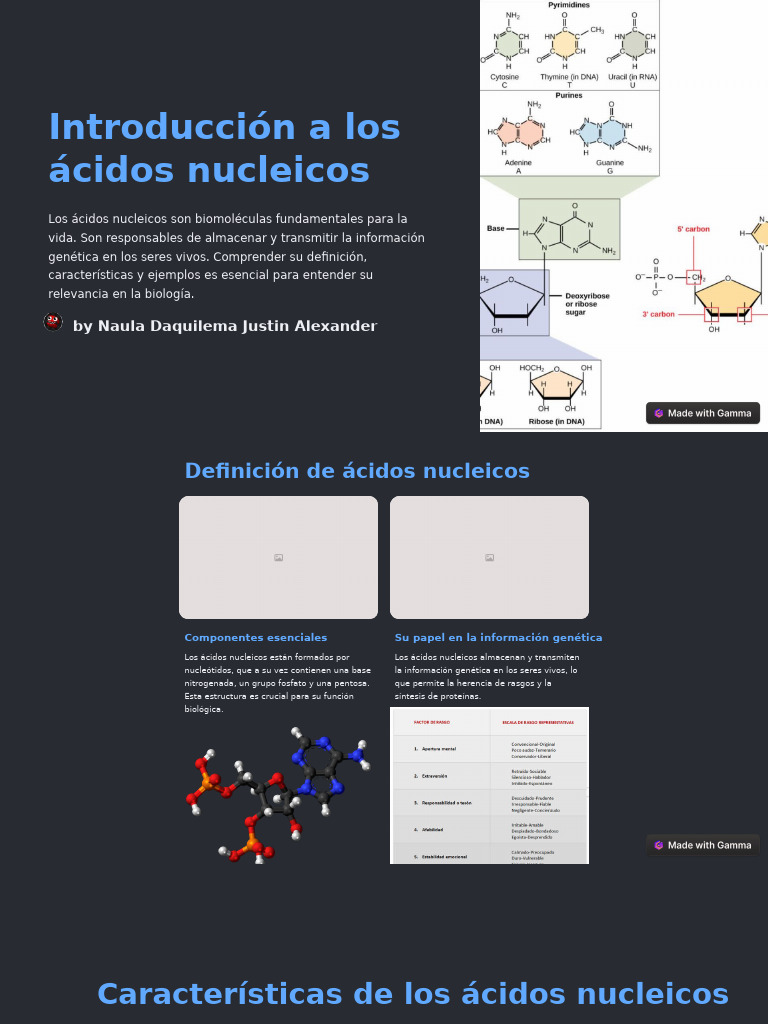 Introduccion A Los Acidos Nucleicos | PDF | Adn | Ácidos nucleicos