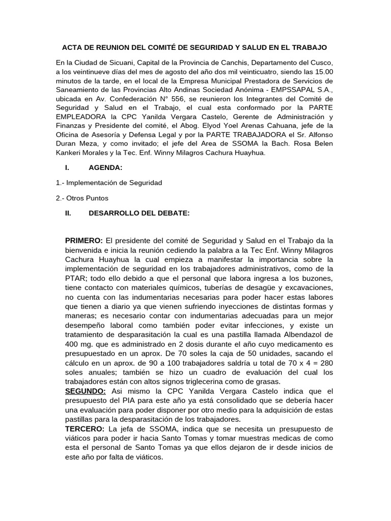 Acta de Comité de Seguridad y Salud en El Trabajo | PDF