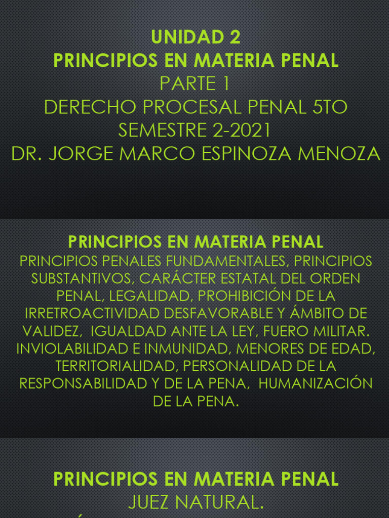 Principios del Derecho Procesal Penal | PDF | Derecho penal | Debido al ...