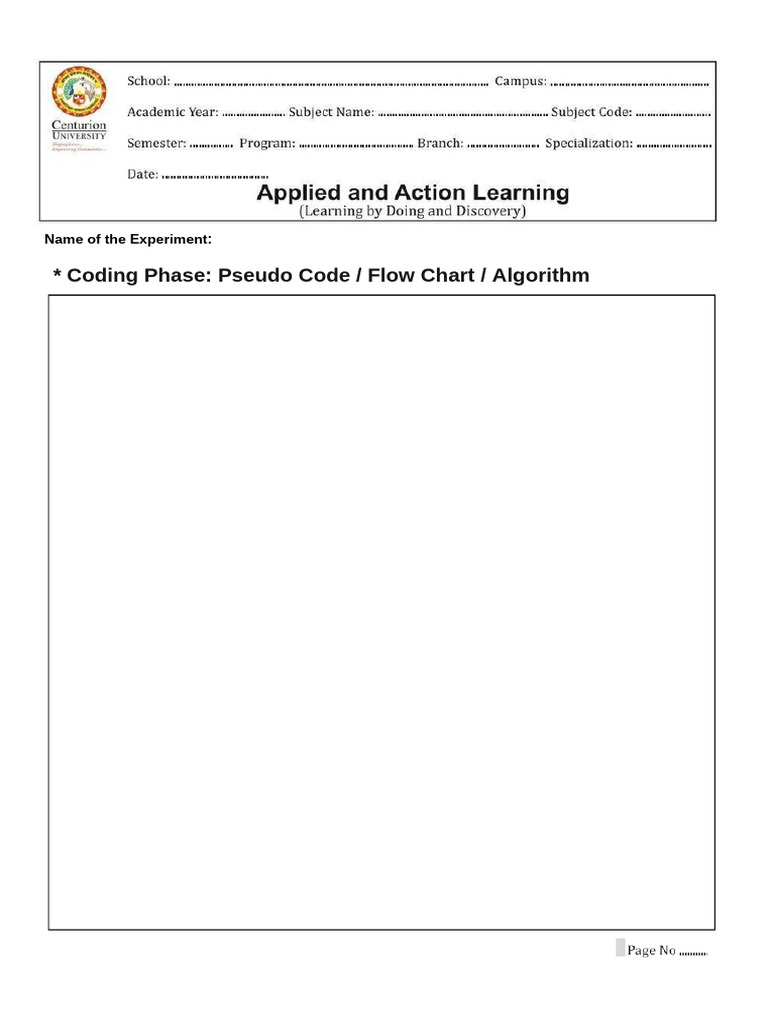 Coding and Testing Phases Explained | PDF