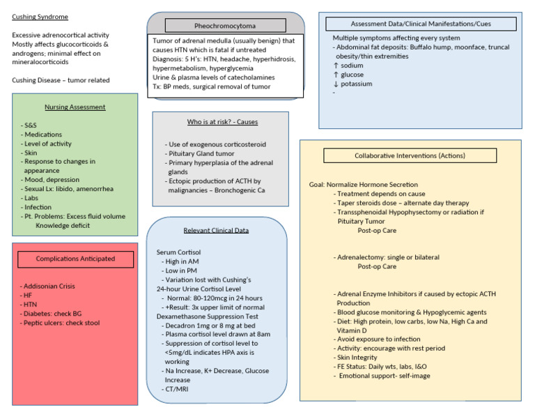 Cushing Syndrome Handout SP2024 | PDF | Adrenal Gland | Cortisol