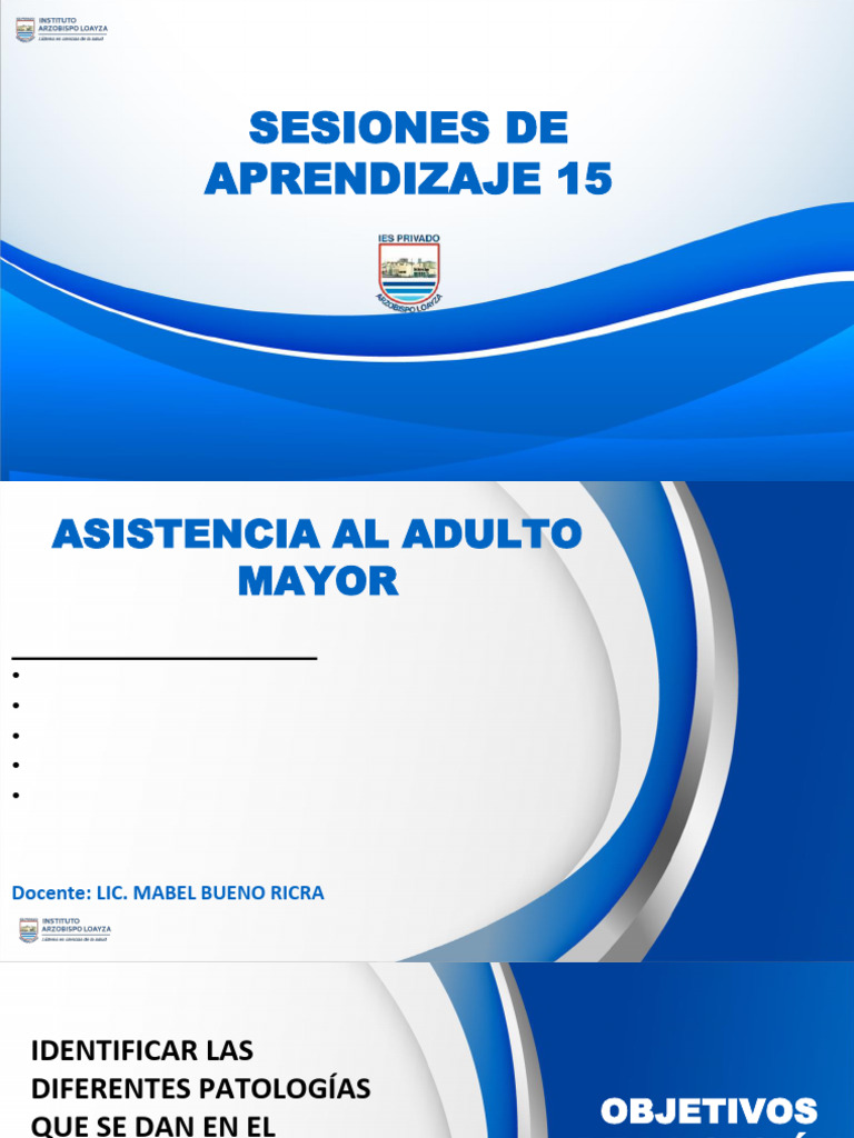 Sesión 15 - Asistencia Al Adulto Mayor | PDF | Demencia | Enfermedad de ...
