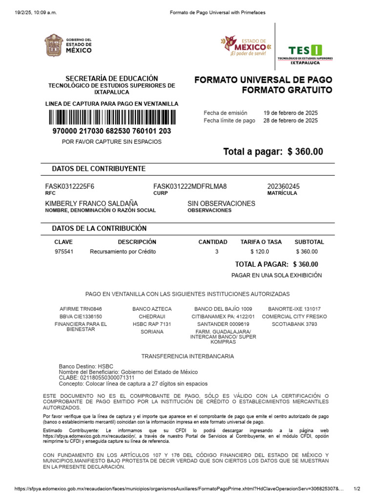 Formato de Pago Universal With Primefacess | PDF | Economias | Finanzas ...