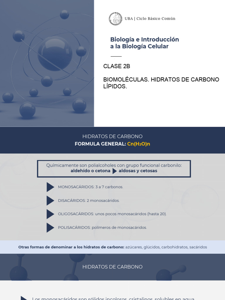 Clase 2B | PDF | Carbohidratos | Lípido