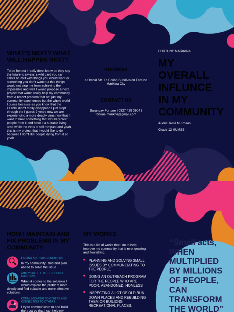 Community Health Project Proposal | PDF
