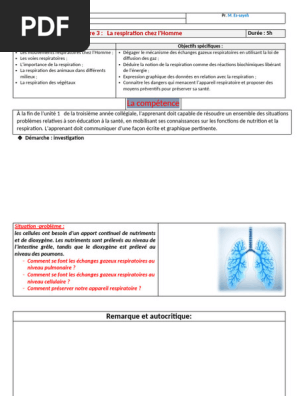 Modèle De Poumon Pédagogique - Système Respiratoire En Plastique - Outil éducatif Pour écoles, études Scientifiques