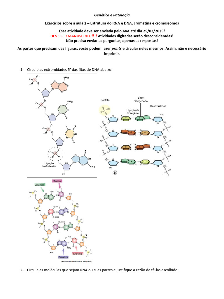 Exercícios sobre RNA e DNA em Genética | PDF
