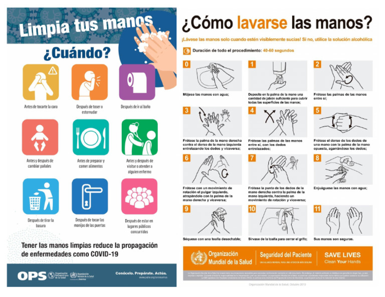 Lavado de Manos y Momentos | PDF