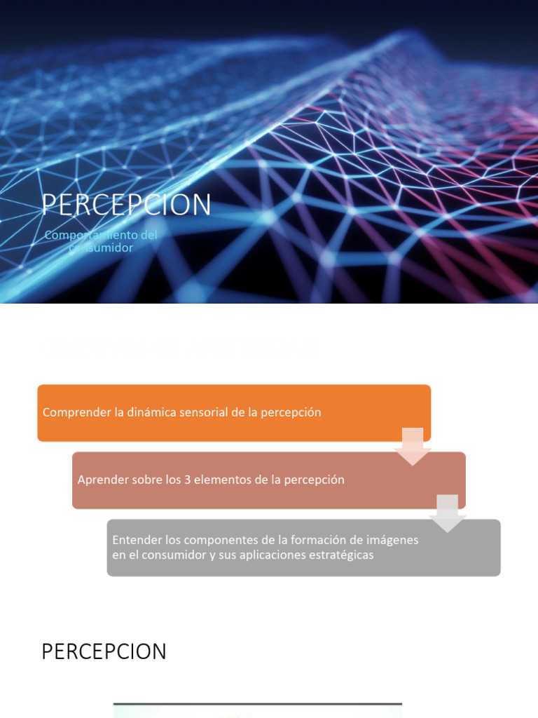 Dinámica de la Percepción en Marketing | PDF | Percepción | Sentidos